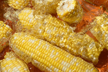 Fresh Corn Cobs Splashing in Water Top View.
