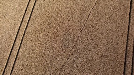 harvest time in countryside Lithuania