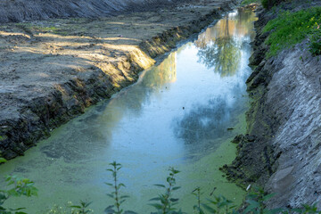 Mud banks and a clear waterway reflect surrounding trees as restoration efforts enhance the natural habitat in the afternoon light