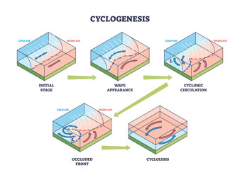 Cyclogenesis shows the stages of cyclone formation with cold air, warm air, and pressure systems. Outline diagram