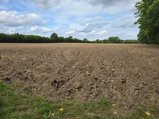 freshly plowed field stretches across the landscape, bordered by trees and hedges, beneath a partly...