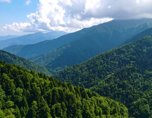 Fototapeta premium Mountain vista with lush green forests