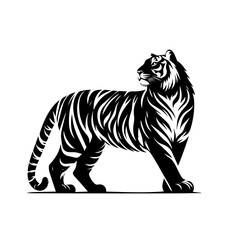 Fierce Tiger Vector Illustration – Wild Jungle Predator Art