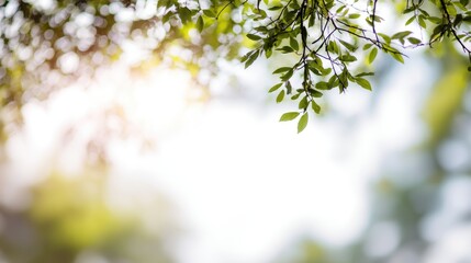 A close-up view of vibrant green leaves against a soft blurred background. This image captures the tranquility and beauty of nature, perfect for environmental or lifestyle themes.