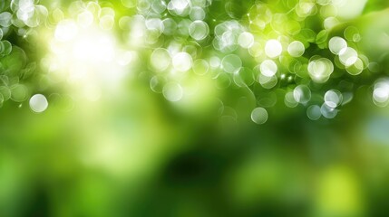 Obraz premium A vibrant and lush green background, filled with soft bokeh lights that create a serene and calming atmosphere. Perfect for nature-themed projects or wellness-related content.