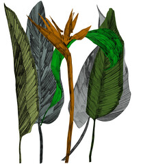 A striking arrangement features a vibrant bird of paradise flower with an orange center, surrounded...