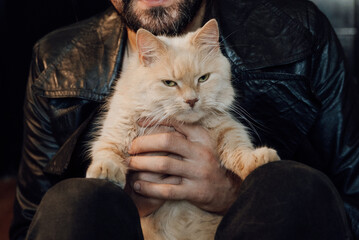 black cat with a cat