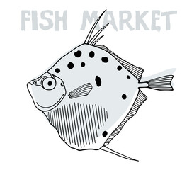 Vector fish market poster with hand drawn illustration of a funny fish made in graphic style. Ink drawing, beautiful design elements. 
