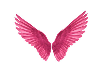 Fototapeta premium Pink Angelic Wings Illustration Isolated Against Transparent Background