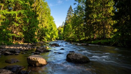 Obraz premium Stream flowing through lush forest