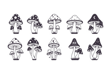 Magic Mushroom Vector Illustration Set