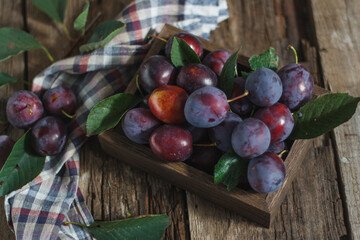 Rustic box filled with ripe plums in shades of purple and red