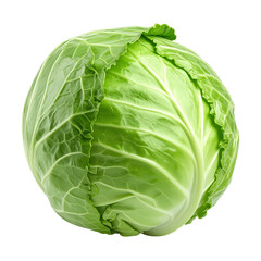 Single Cabbage with Glossy Leaves Isolated on Transparent Background, Photorealistic 4K Studio Image