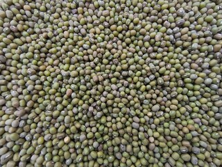 Texture of small dried green bean seeds, green bean grains background