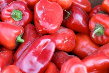 Fresh harvest of red bell peppers close-up — organic vegetables for salads, sauces, culinary projects and healthy eating