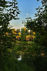 Summer evening on the Belaya River.