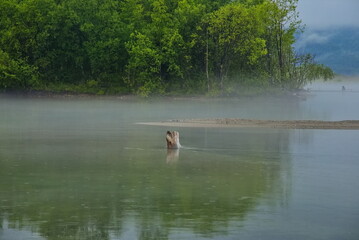Fog on the shore of Lake Baikal.