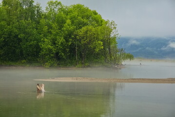 Fog on the shore of Lake Baikal.