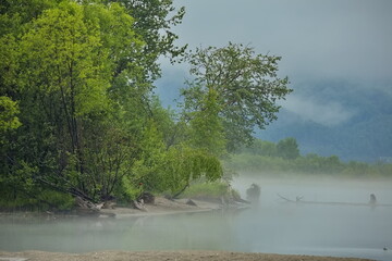Fog on the shore of Lake Baikal.