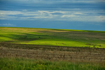 Hills of the West Siberian Plain.