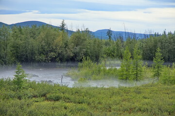 Fog over the river in the Yakut taiga.