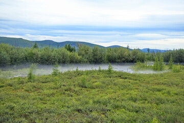 Fog over the river in the Yakut taiga.