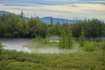 Fog over the river in the Yakut taiga.