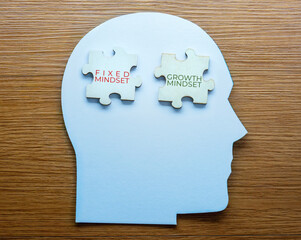 A human head-shaped cutout with puzzle pieces labeled 