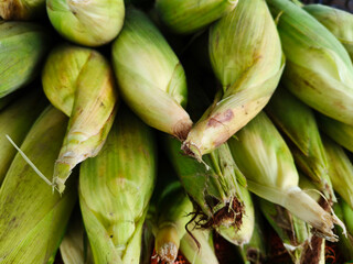 Close u shot of pile of covered sweet corn open sell in Indian market.