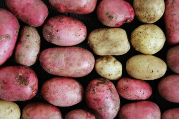 Fresh Young potatoes on a wooden background