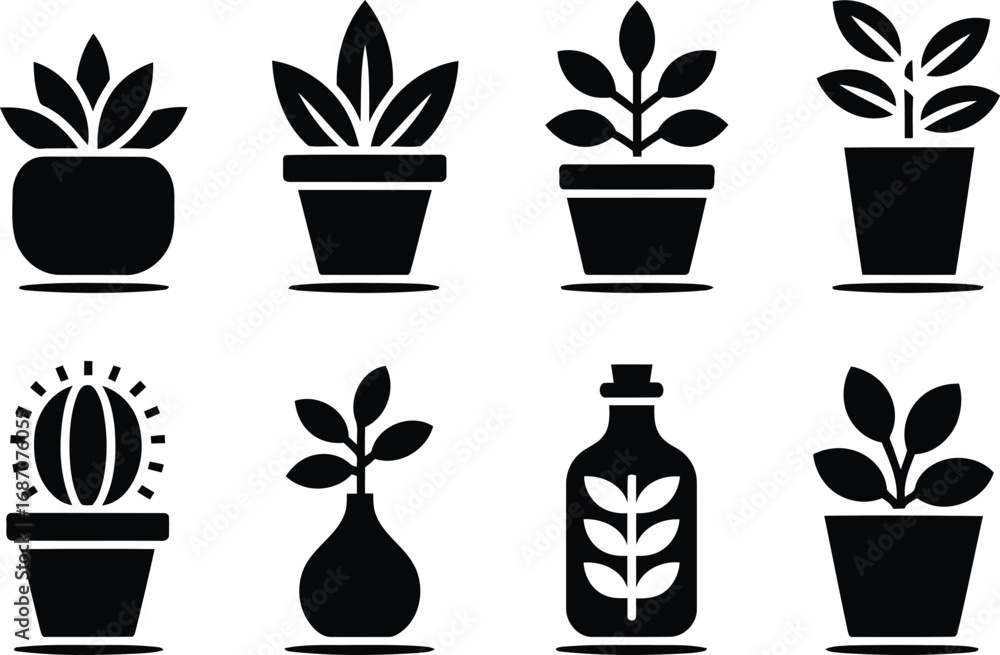 Poster a wonderful array of black and white botanical illustration set depicting various potted plants, inc