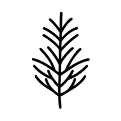 evergreen twig line art icon