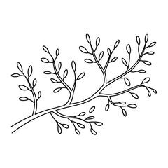 Delicate hand drawn illustration of a branching twig with small leaves