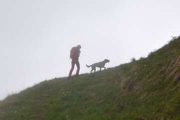 Obraz premium A hiker and their dog climb a mountain trail shrouded in fog. The image captures a moment of adventure and mystery in a serene alpine landscape.