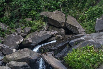 rocks with water in the forest