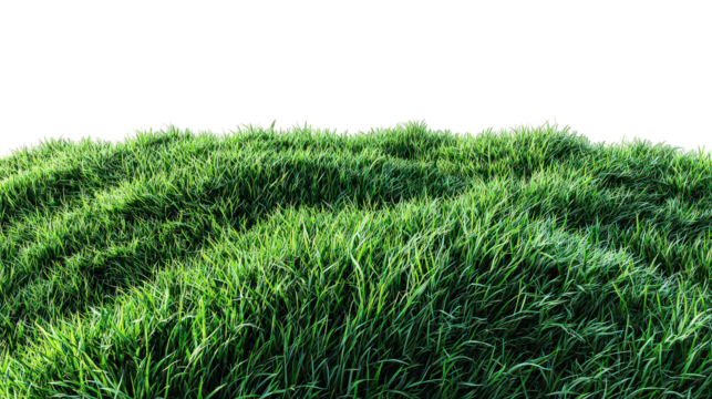 Lush Green Grass Field Isolated on Black Background