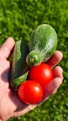 hand holding cucumber