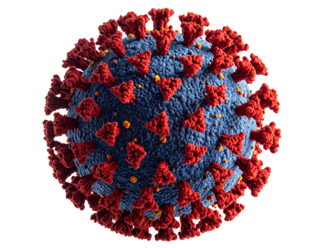 Covid-19 cell isolated on white background, microscopic virus structure displayed clearly, scientific illustration highlighting spherical shape, detailed surface spikes, medical research concept, biol