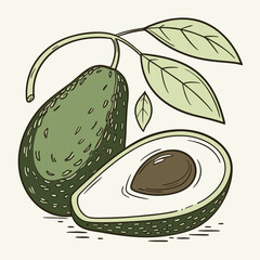 Fresh Avocado Illustration Healthy & Delicious