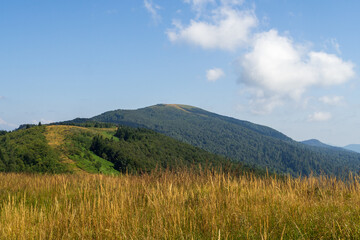Obraz premium Seven-headed mountain range, Tuapse region, Russia.