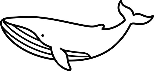 Elegant line art whale illustration perfect for ocean themes, marine life, and educational projects