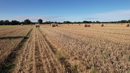 harvest time in countryside Lithuania