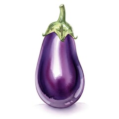 Eggplant in Watercolor Style