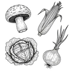 Set of Vegetables in Ink Style