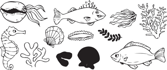 Fish and Seashell Doodle Vector – Ocean, Marine, Sea, Underwater, Nature, Food, Animal, Seafood, Outline, Minimal, Flat, Black, Icon, Symbol, Art, Design, Illustration, Abstract