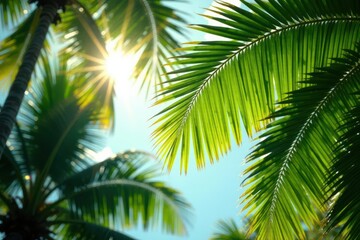 Fototapeta premium Sunlight dapples lush green palm fronds, vibrant tropical scene , vacation, green