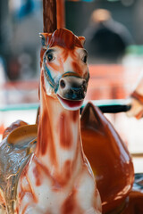 horse head close up on green background