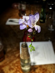 candle and orchid fine dining