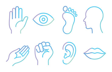 Neon symbols of human senses: hand, eye, foot, profile, palm, fist, ear, lips