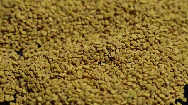 Fenugreek is a beneficial food for diabetes.